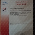 Resmi büyüt: certificate 11