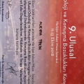 Resmi büyüt: certificate 9