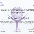 Resmi büyüt: certificate 3