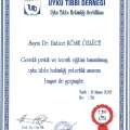 Resmi büyüt: certificate 21
