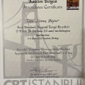 Resmi büyüt: certificate 1