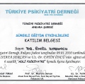 Resmi büyüt: certificate 1