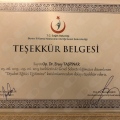 Resmi büyüt: certificate 6