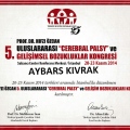 Resmi büyüt: certificate 17