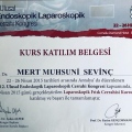 Resmi büyüt: certificate 8