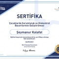 Resmi büyüt: certificate 27