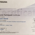 Resmi büyüt: certificate 3