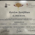 Resmi büyüt: certificate 2