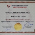 Resmi büyüt: certificate 4