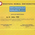 Resmi büyüt: certificate 23