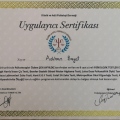 Resmi büyüt: certificate 9