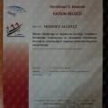 Resmi büyüt: certificate 19