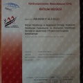 Resmi büyüt: certificate 14