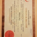 Resmi büyüt: certificate 2