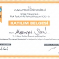 Resmi büyüt: certificate 12