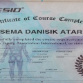 Resmi büyüt: certificate 29