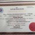 Resmi büyüt: certificate 2