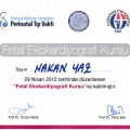 Resmi büyüt: certificate 17
