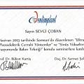 Resmi büyüt: certificate 5