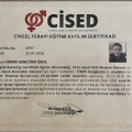 Resmi büyüt: certificate 2
