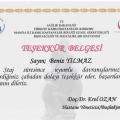 Resmi büyüt: certificate 4