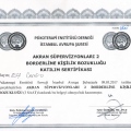 Resmi büyüt: certificate 24