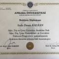 Resmi büyüt: certificate 4
