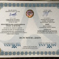 Resmi büyüt: certificate 1