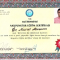 Resmi büyüt: certificate 1