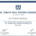 Resmi büyüt: certificate 14