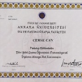 Resmi büyüt: certificate 1
