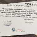 Resmi büyüt: certificate 27