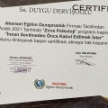 Resmi büyüt: certificate 19