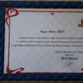 Resmi büyüt: certificate 3