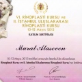 Resmi büyüt: certificate 24