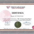 Resmi büyüt: certificate 9