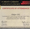 Resmi büyüt: certificate 31
