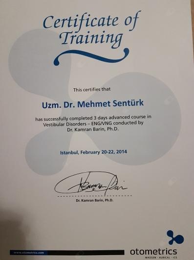 Mehmet Şentürk-2