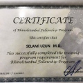 Resmi büyüt: certificate 4