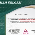 Resmi büyüt: certificate 4