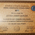 Resmi büyüt: certificate 3