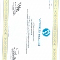 Resmi büyüt: certificate 5