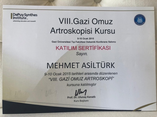 Mehmet Asiltürk-21