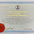 Resmi büyüt: certificate 3