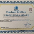 Resmi büyüt: certificate 3