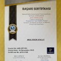 Resmi büyüt: certificate 7
