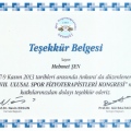 Resmi büyüt: certificate 26