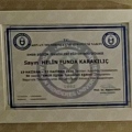 Resmi büyüt: certificate 9