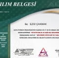 Resmi büyüt: certificate 18