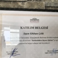 Resmi büyüt: certificate 6